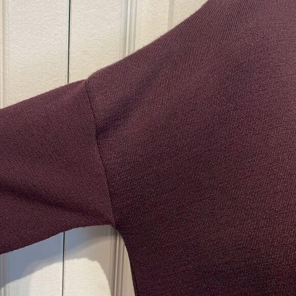 Aritzia Wilfred Free‎ Burgundy Long Sleeve Dress Size XS - Picture 4 of 11